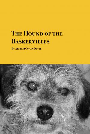 Rapid Reader - The Hound of the Baskervilles